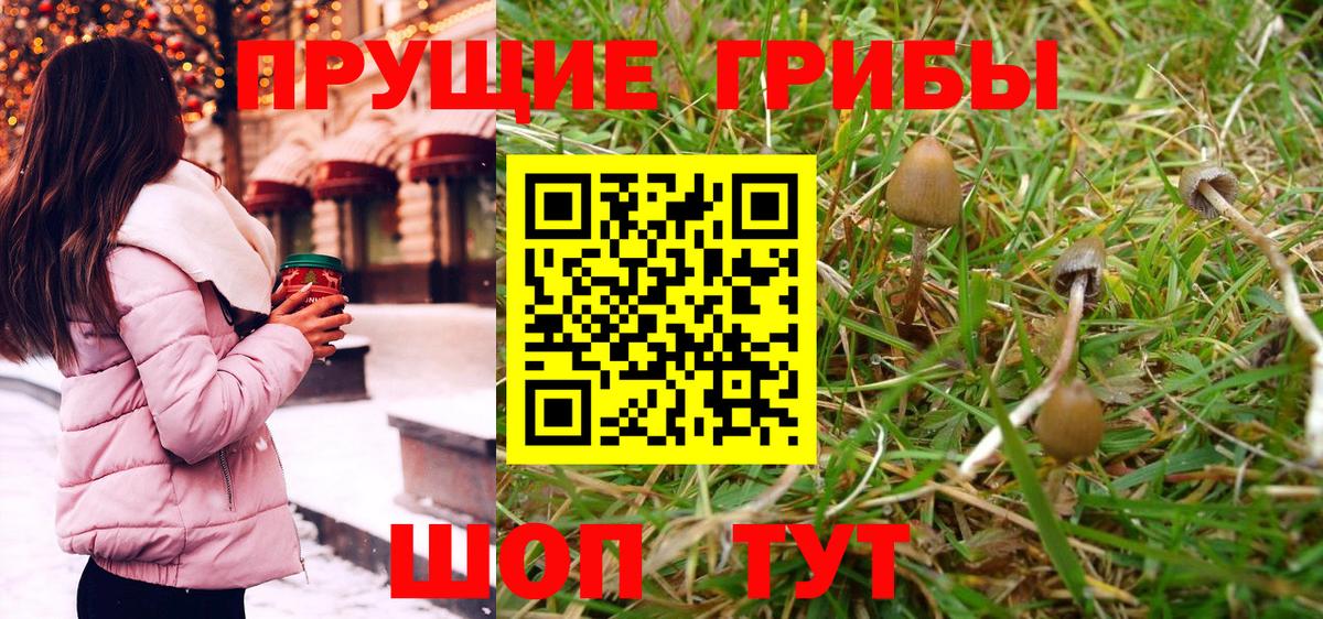 наркота  Вход с VPN  Уссурийск  Галлюциногенные грибы GOLDEN TEACHER 